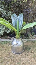 Vintage - Manus (Norrköping Sweden) Stainless Steel Milk Bucket Garden Planter 