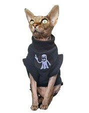 sizes HALLOWEEN Sphynx cat