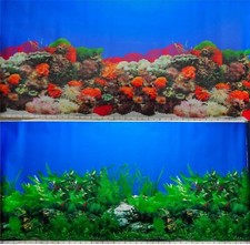 Aquarium Fish Tank Background 2 Sides - 60cm High 2 to 10 FT Lengths