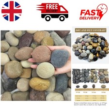 4-6 cm Mixed Colour Garden
