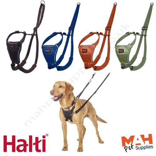 Halti pull harness for - no, dog