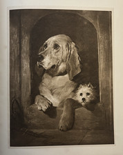 Landseer Print c1901 – Dignity & Impudence Sepia Antique Dog Photogravure UK