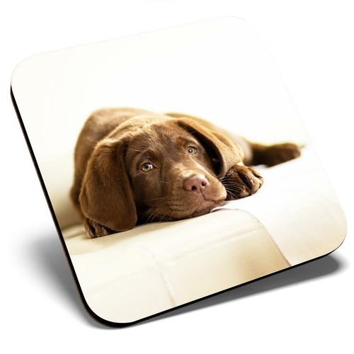 Square single coaster brown - square,