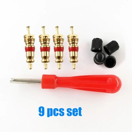 Tyre valve core - core, with