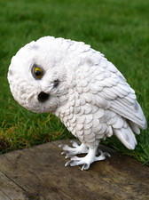 Resin White Owl Garden Ornament Statue Sculpture Figurine Outdoor Decor