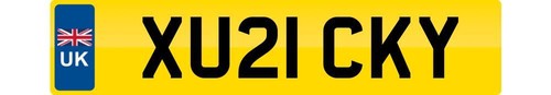 Ricky private number plate - ricky,