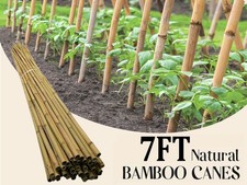 7FT LARGE BAMBOO CANES STRONG