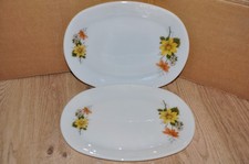 JAJ Pyrex Autumn Glory Steak