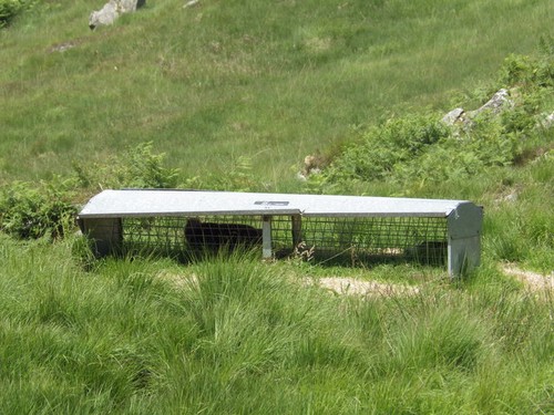 Photo 12x8 sheltering under - photo,