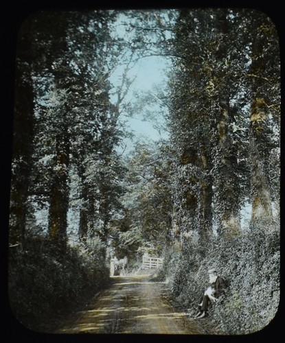 Chessington the avenue - the, surrey