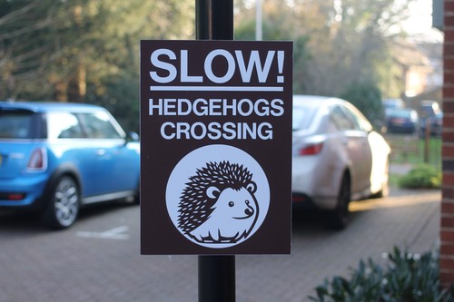 Slow hedgehogs crossing sign - hedgehogs,