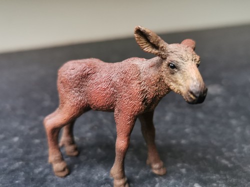 Schleich moose fawn from - fawn,