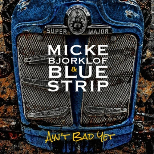 Micke bjorklof blue strip - bjorklof,