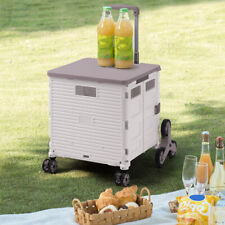 55L Folding Garden Wagon Beach