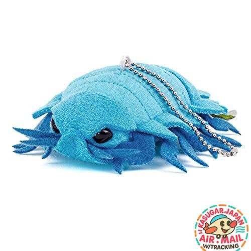 Colorata giant isopod - giant,