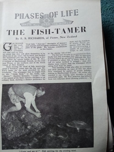 El81 ephemera 1950s article - ephemera,