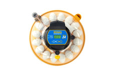 Brinsea maxi advance egg - maxi, 24
