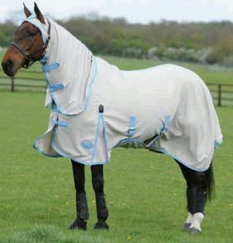 Weatherbeeta shield combo - weatherbeeta,