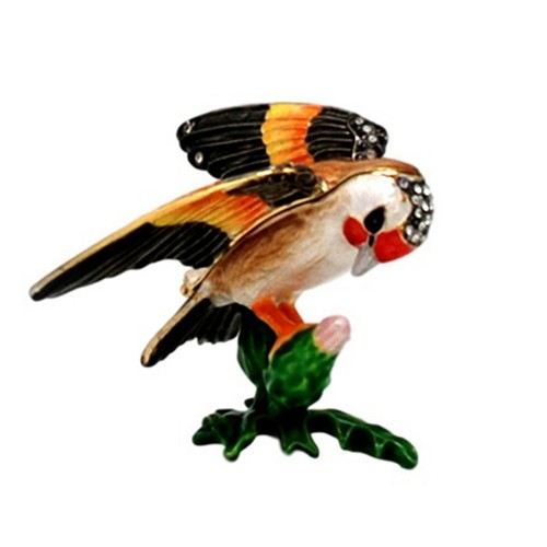Zebra finch protea jewelled - zebra, on
