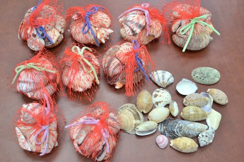 Assort mix sea shell - assort,