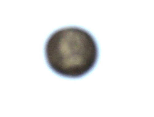 1746 george 2nd silver maundy - george,