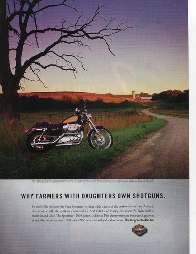 Harley davidson sportster 1200 - harley-davidson,