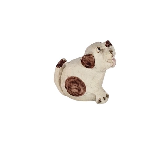Peter fagan dog spotted puppy - peter,