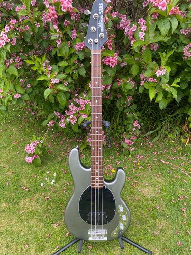 2003 ernie ball music man - ball,
