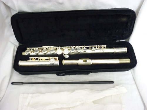 Sonata flute with case - sonata,