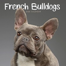 French Bulldogs 2026 Mini Wall Calendar NEW