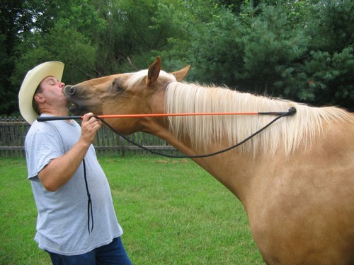 Thomey equine handy - handy, carrot