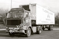 THH Truck Photos - Volvo F88 -