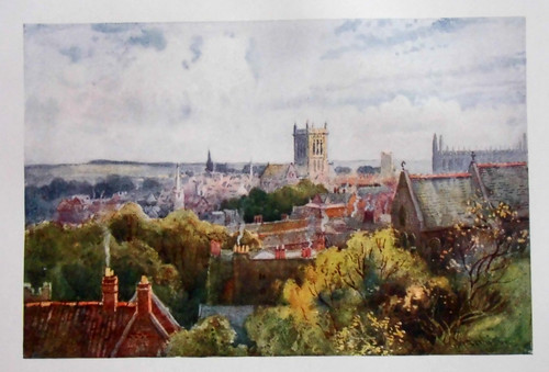 Edwardian cambridge print - edwardian,
