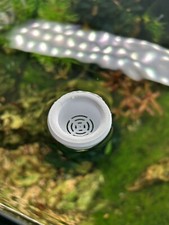 FLOATING Fish Feeder Aquarium Fish Tank Bloodworm Brine Shrimp Frozen Food