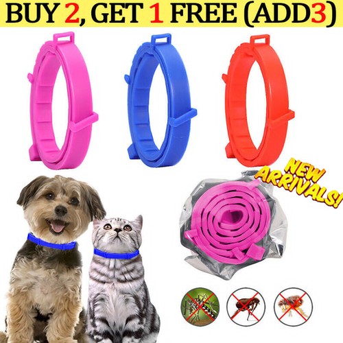 Anti flea and tick - tick, collar