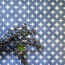 Tile Sample: Soho Navy Blue