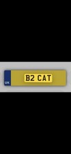 PRIVATE NUMBER B2 CAT PLATE
