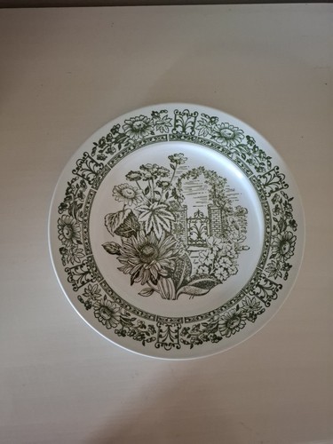 Broadhurst ironstone dinner - ironstone,