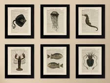 SET OF 6 ART PRINTS ON OLD ANTIQUE BOOK PAGE, Lobster, Octopus, Quirky Wall Art