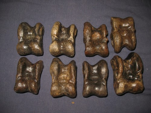 Pleistocene steppe bison ice - bison,