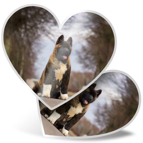 Heart stickers cm - stickers,