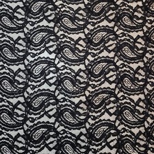 Soft Light Weight Corded Lace