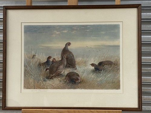 Archibald thorburn signed - archibald,