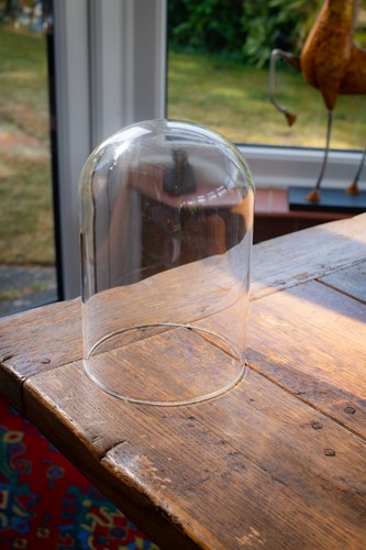 Vintage glass bell dome - vintage,