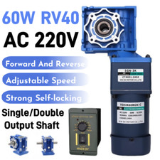 AC 220V 60W 0.1RPM To 5RPM Two Stage Worm Gear Reducer Gearbox Motor Gearmotors 