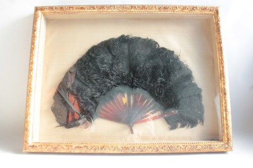 Ostrich feather fan 19th - ostrich,