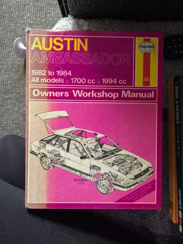 Haynes austin ambassador - haynes,