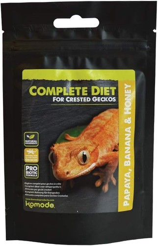 Komodo crested gecko - komodo,