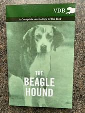 BEAGLES HUNTING HARES HOUNDS