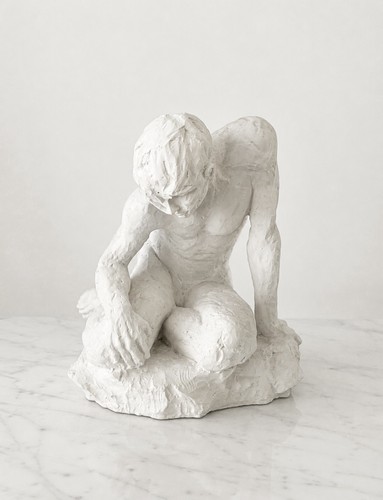 Sara myers narcissus - sara,